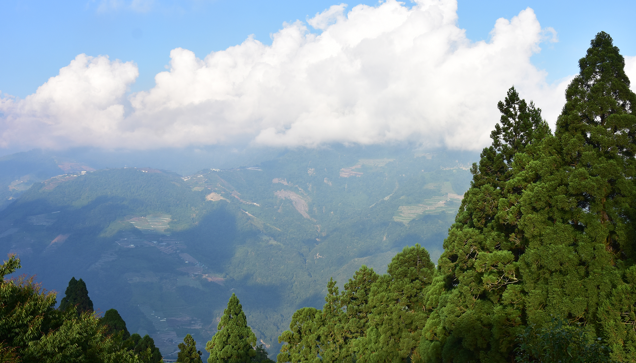 清淨民宿,清境住宿